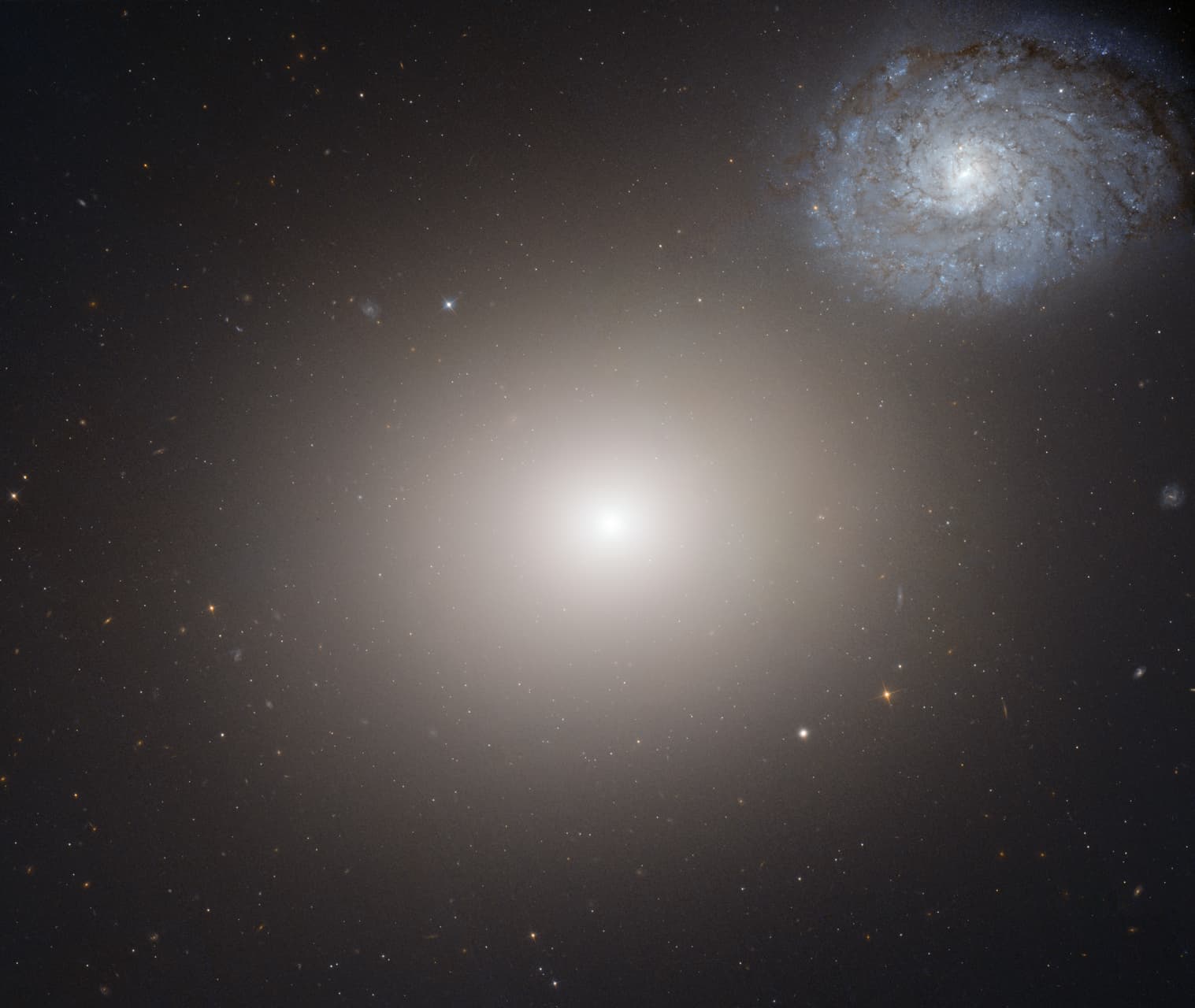 APOD: 2013 October 4 – The Densest Galaxy