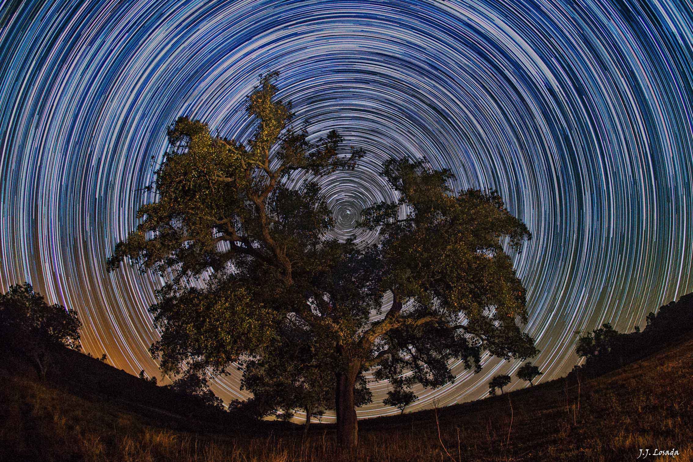 APOD: 2013 October 23 – North Celestial Tree
