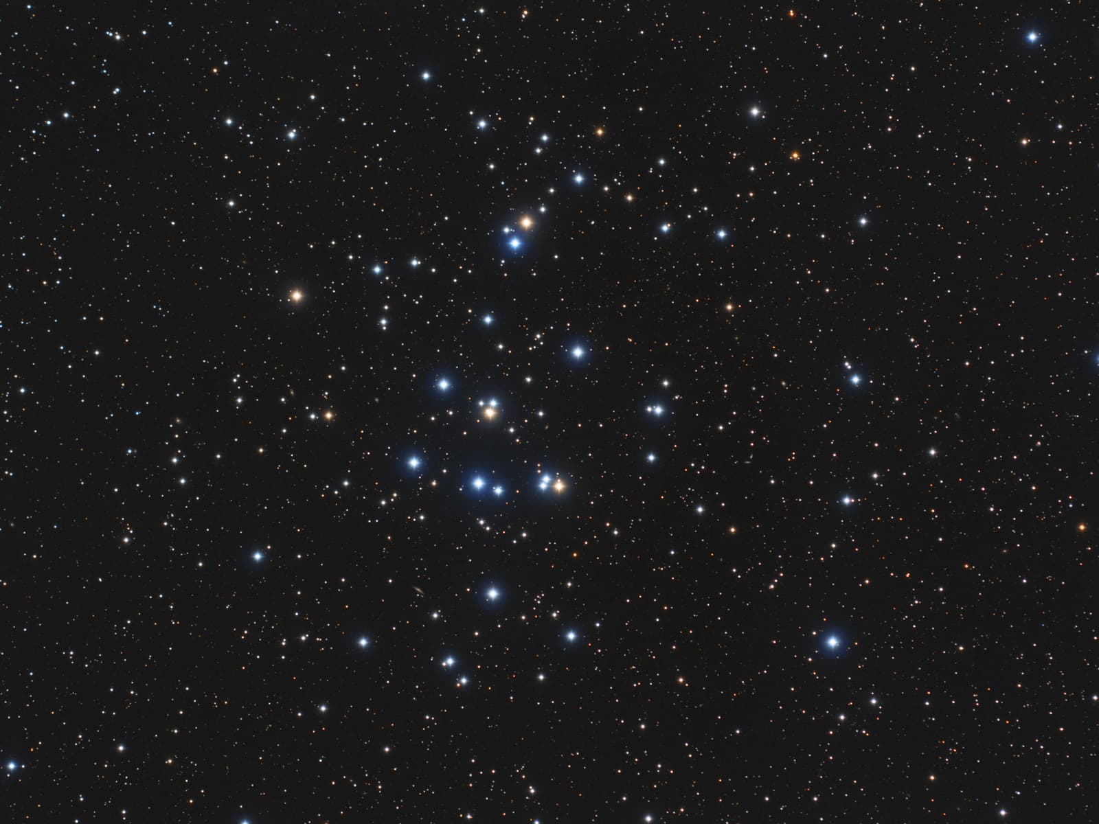 APOD: 2014 February 22 – M44: The Beehive Cluster