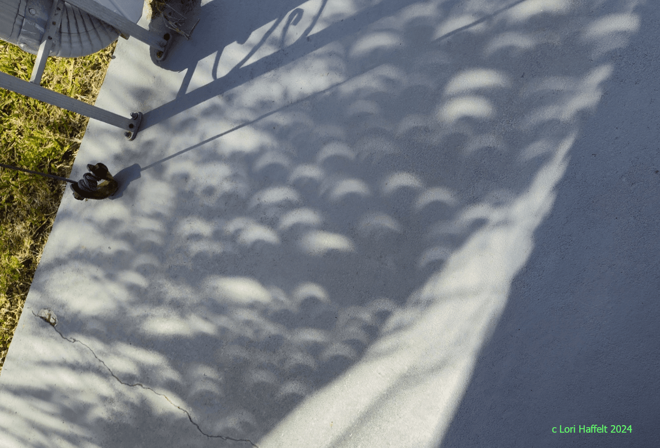 APOD: 2024 April 13 – Palm Tree Partial Eclipse