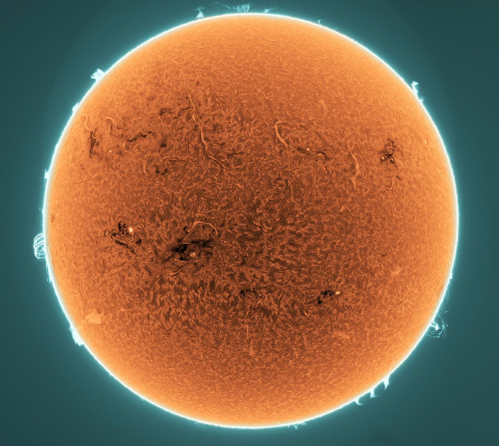 APOD: 2024 June 15 – Prominences and Filaments on the Active Sun