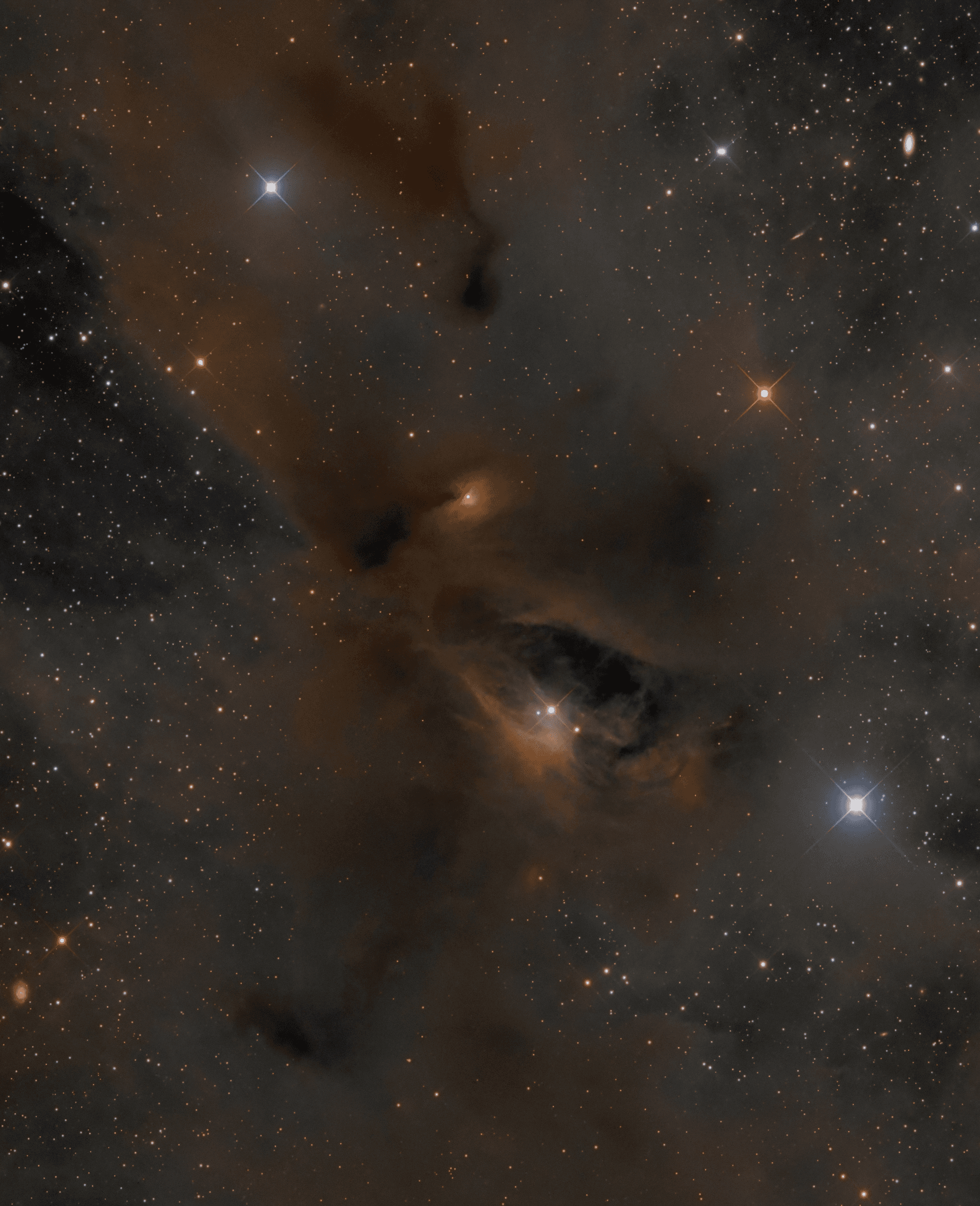 APOD: 2025 January 10 – Young Stars, Dark Nebulae