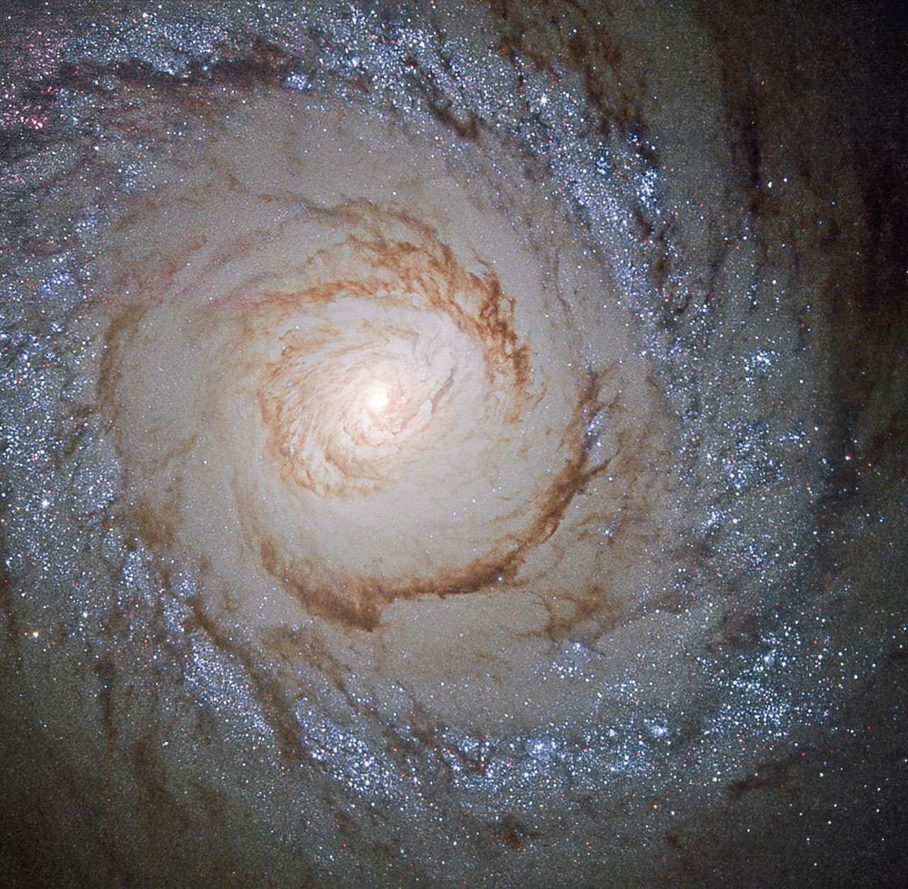 APOD: 2025 March 6 – Starburst Galaxy Messier 94