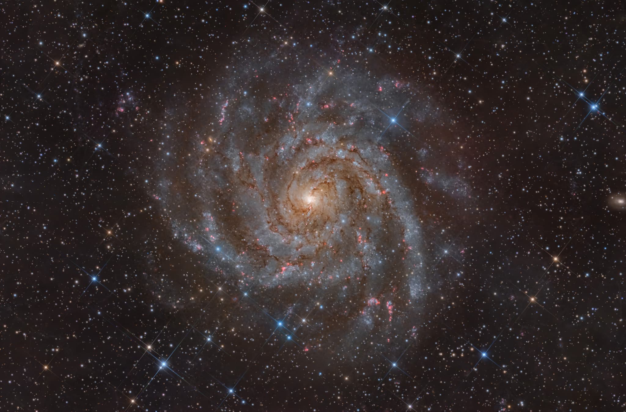 APOD: 2026 January 8 – IC 342: Hidden Galaxy in Camelopardalis
