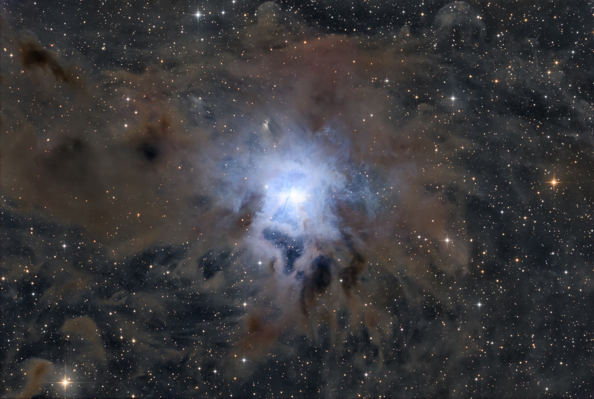 APOD: 2026 January 16 – NGC 7023: The Iris Nebula