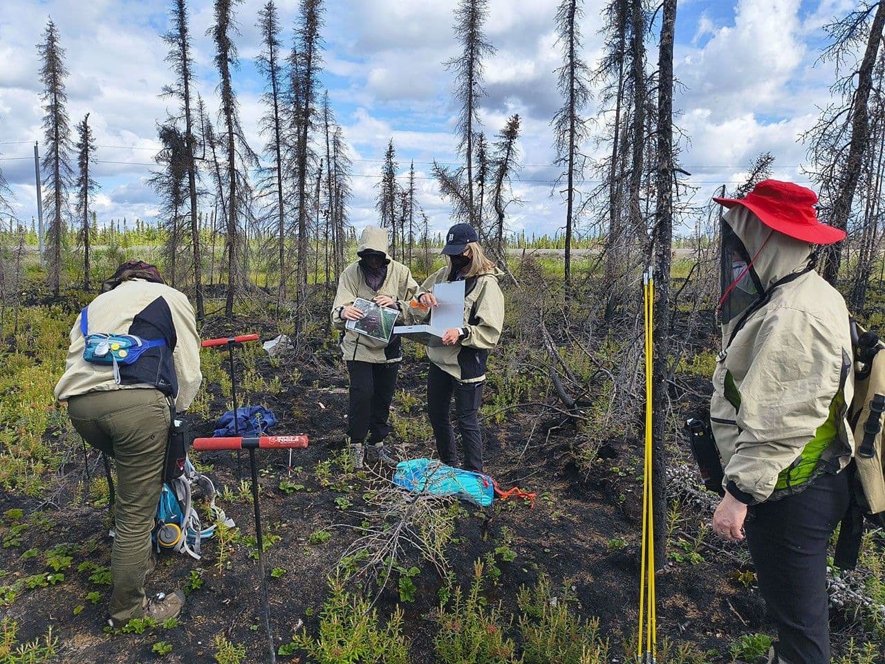 Fire Effects from the 2023 Drought and Extreme Wildfire Season