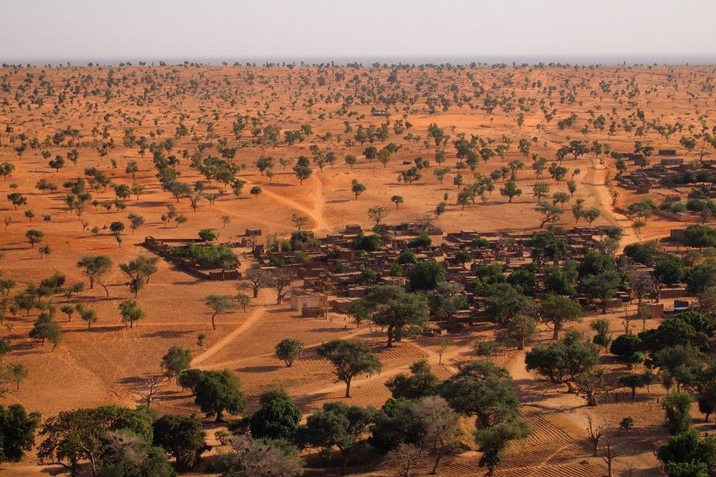 NASA Maps Carbon of 10 Billion Individual Trees