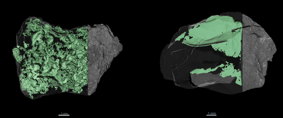 Asteroid Bennu’s Rugged Surface Baffled NASA, We Finally Know Why