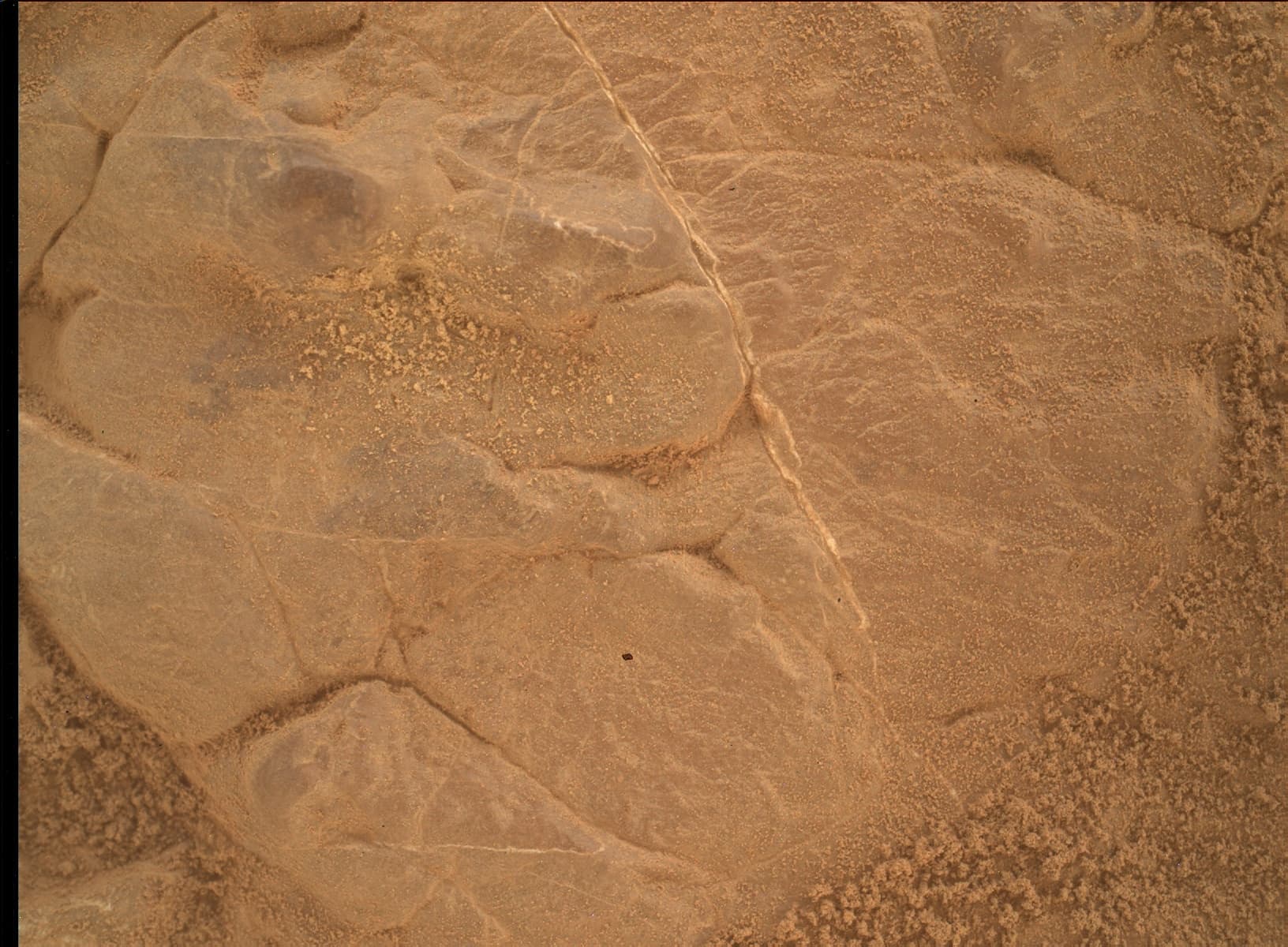 Foto do rover em Marte de 2026-02-15