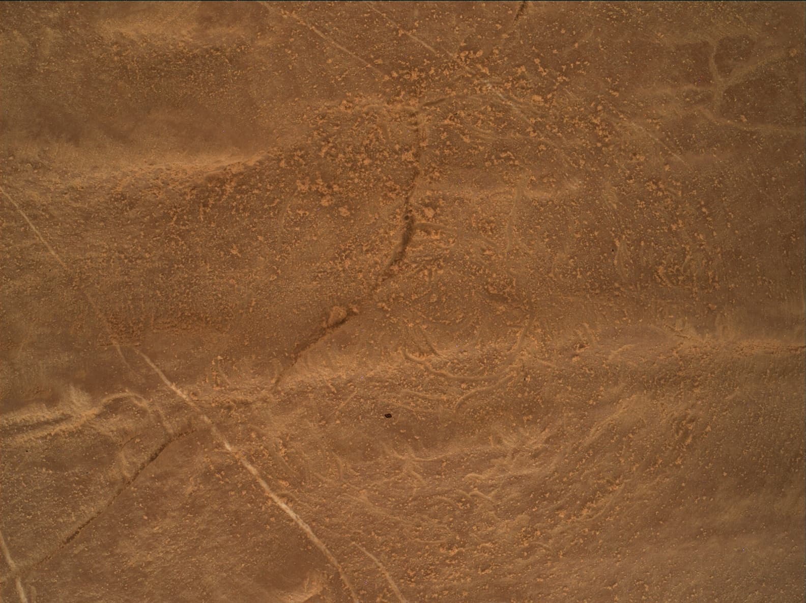 Foto de Marte da câmera MAHLI