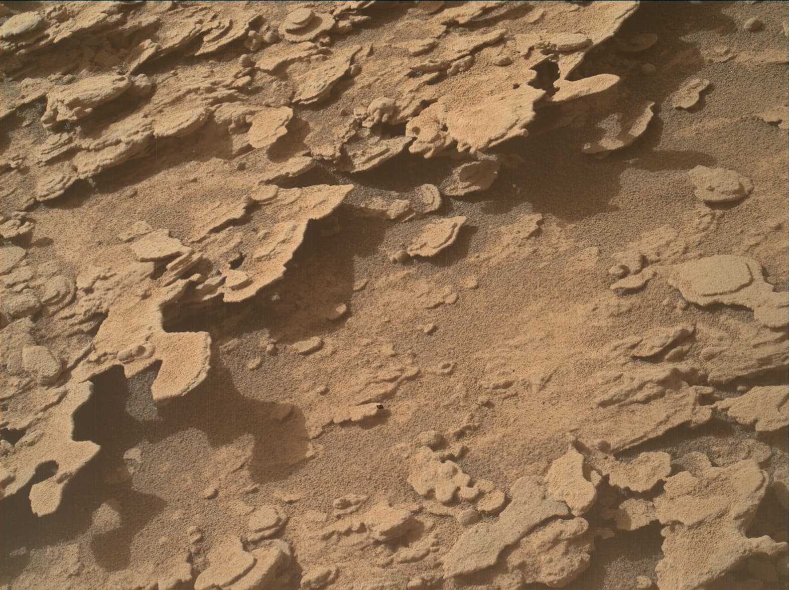 Foto de Marte da câmera MAHLI