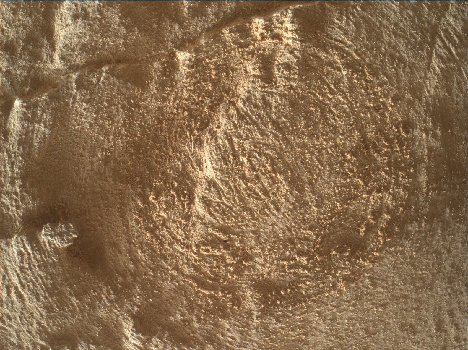 Foto de Marte da câmera MAHLI