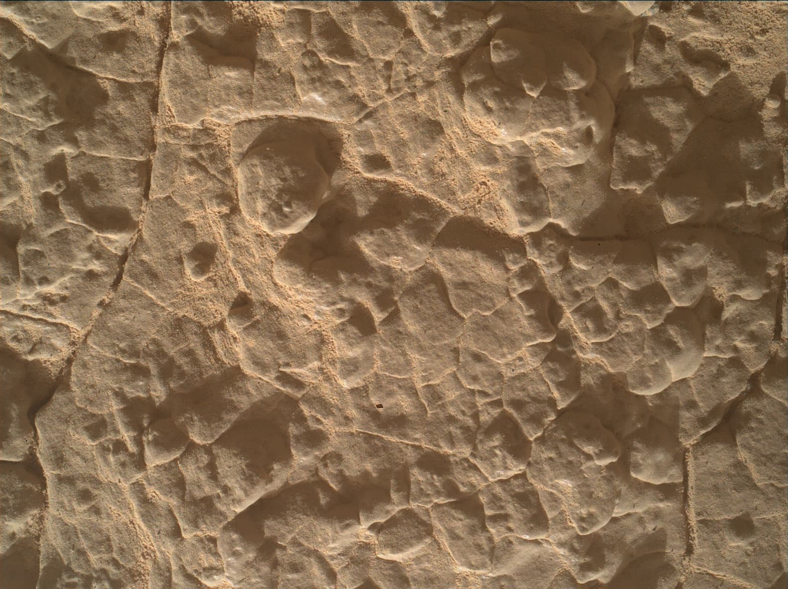 Foto do rover em Marte de 2026-06-12