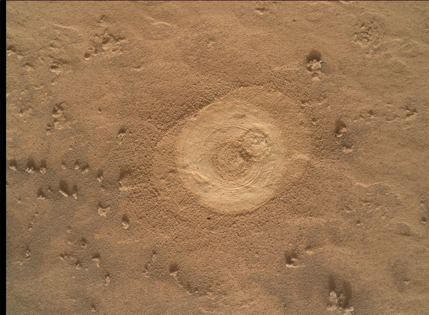 Foto do rover em Marte de 2026-07-04