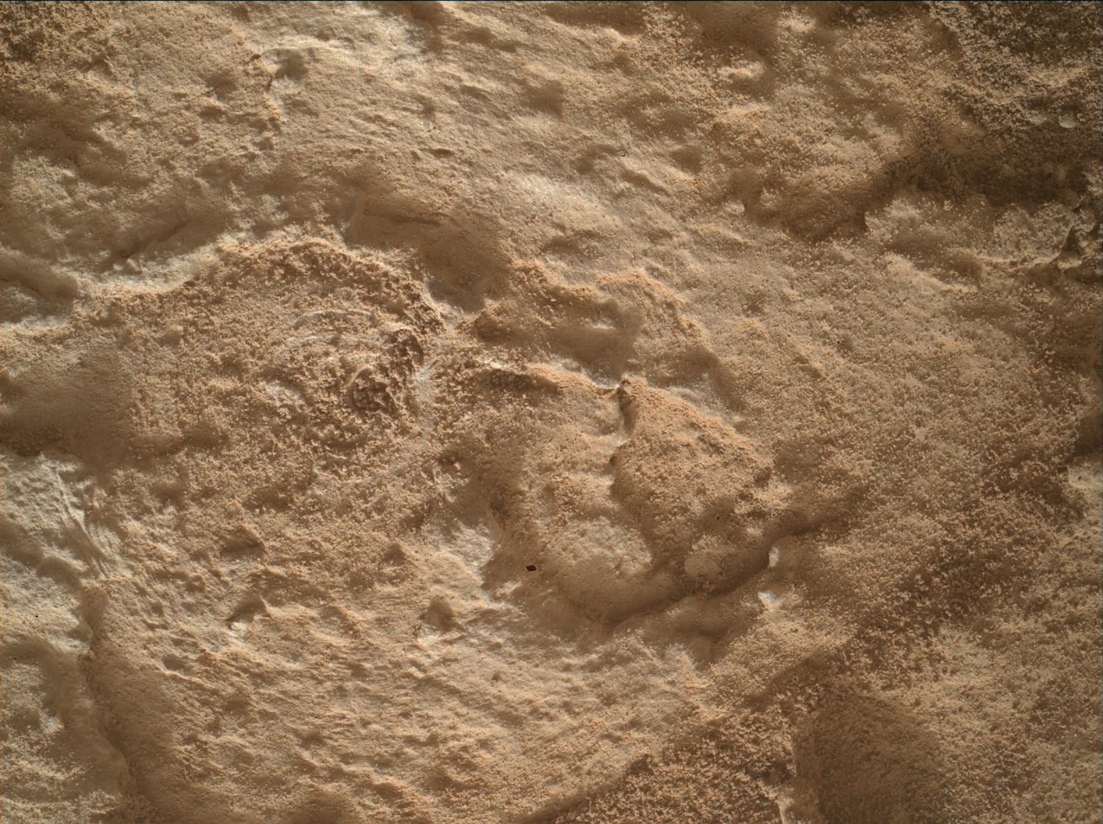 Foto do rover em Marte de 2026-07-08