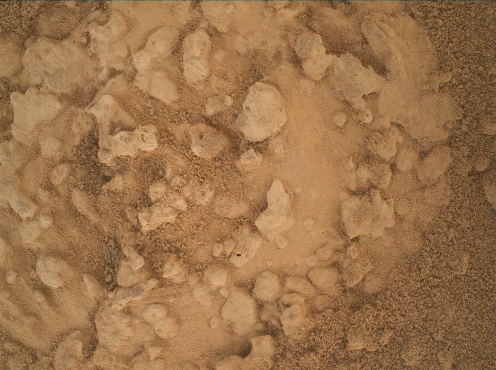 Foto do rover em Marte de 2026-07-15