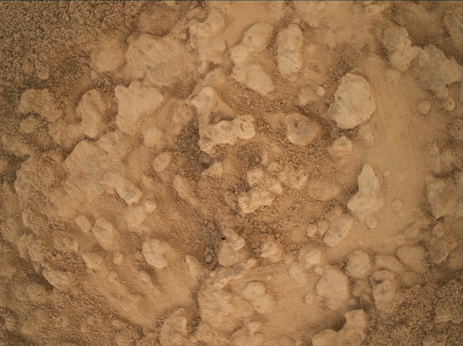 Foto do rover em Marte de 2026-07-15