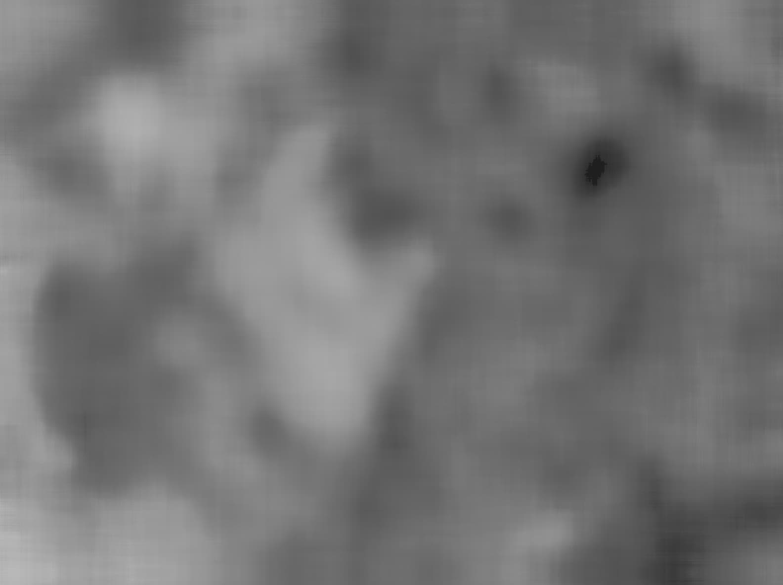 Foto do rover em Marte de 2026-07-15