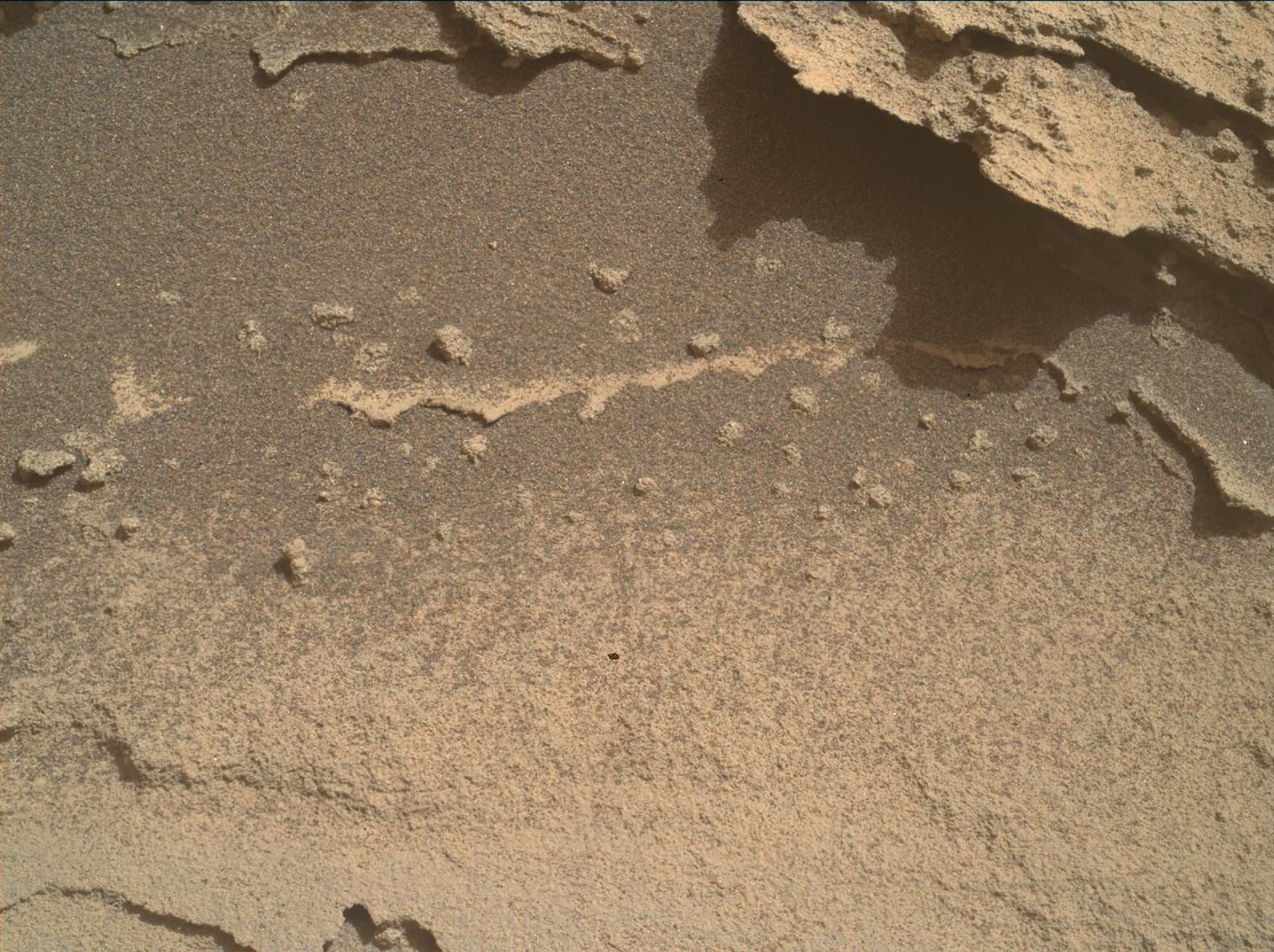 Mars rover photo