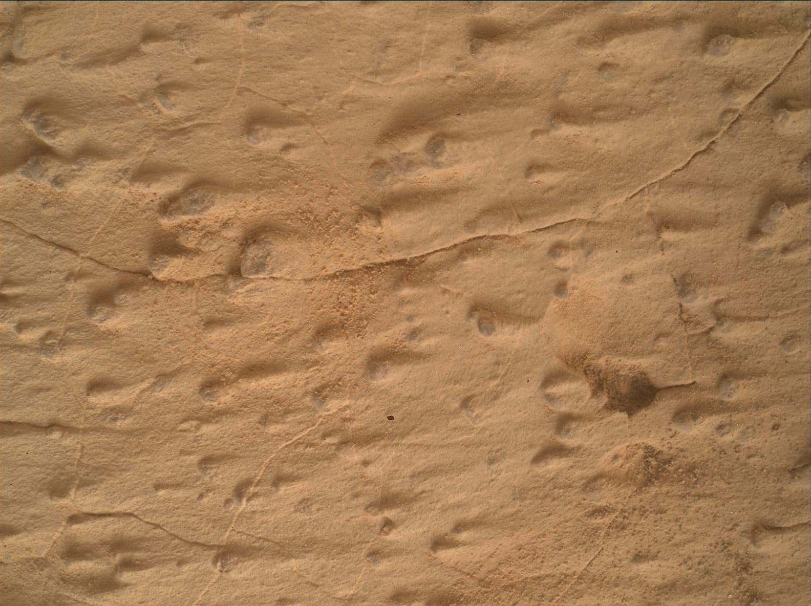 Mars image captured by MAHLI on Curiosity