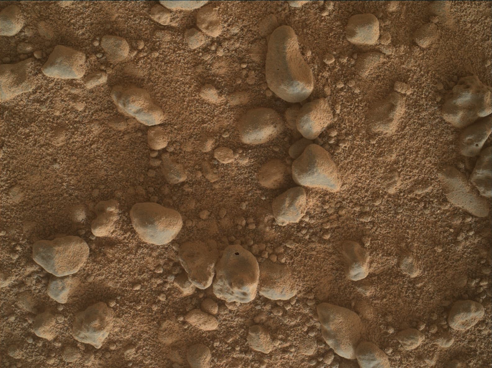 Mars image captured by MAHLI on Curiosity