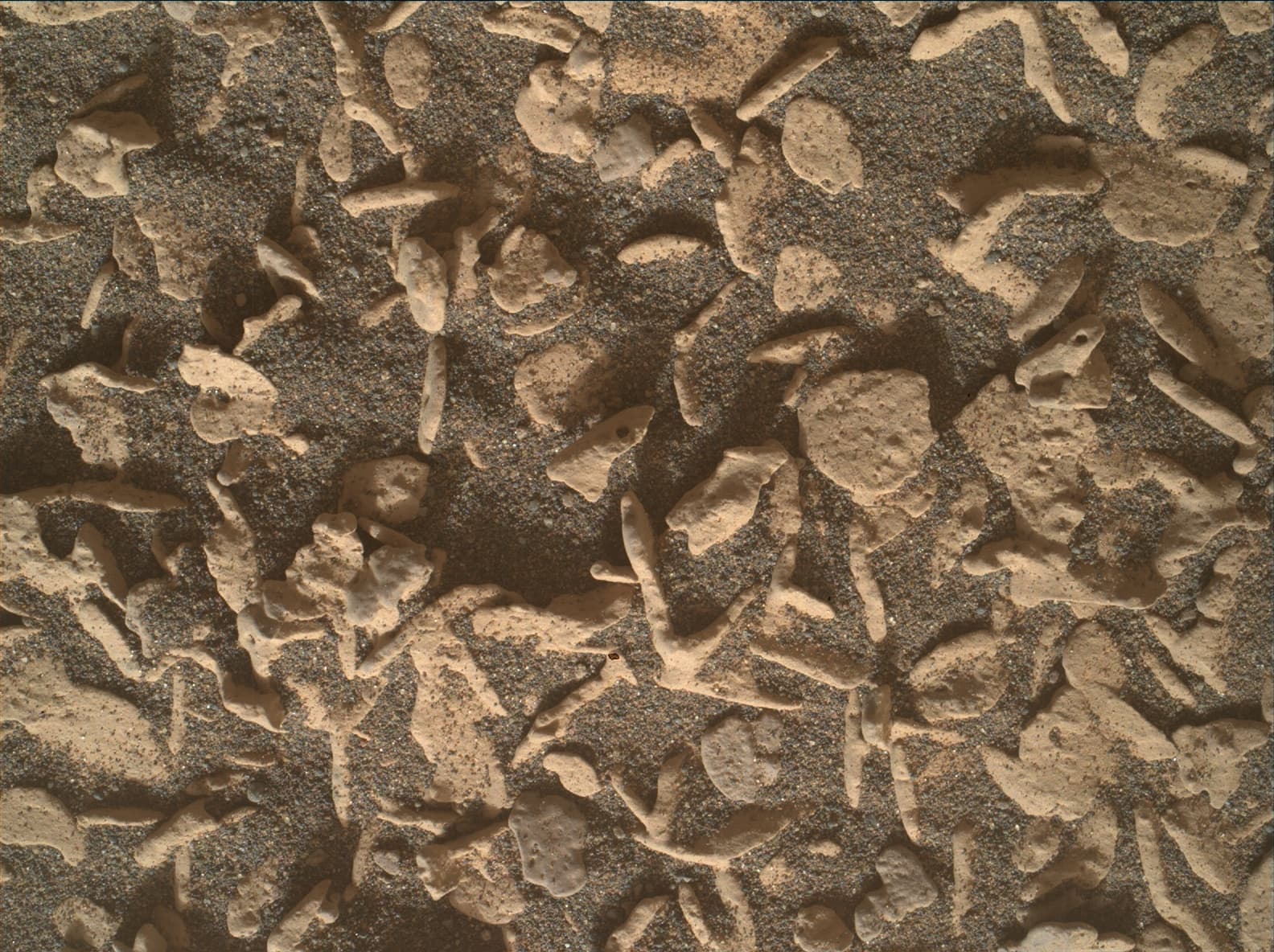 Foto do rover em Marte de 2026-09-13