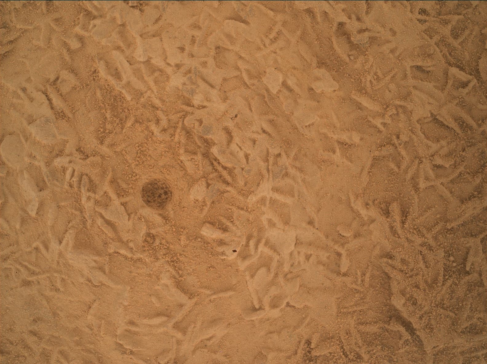 Foto do rover em Marte de 2026-09-16