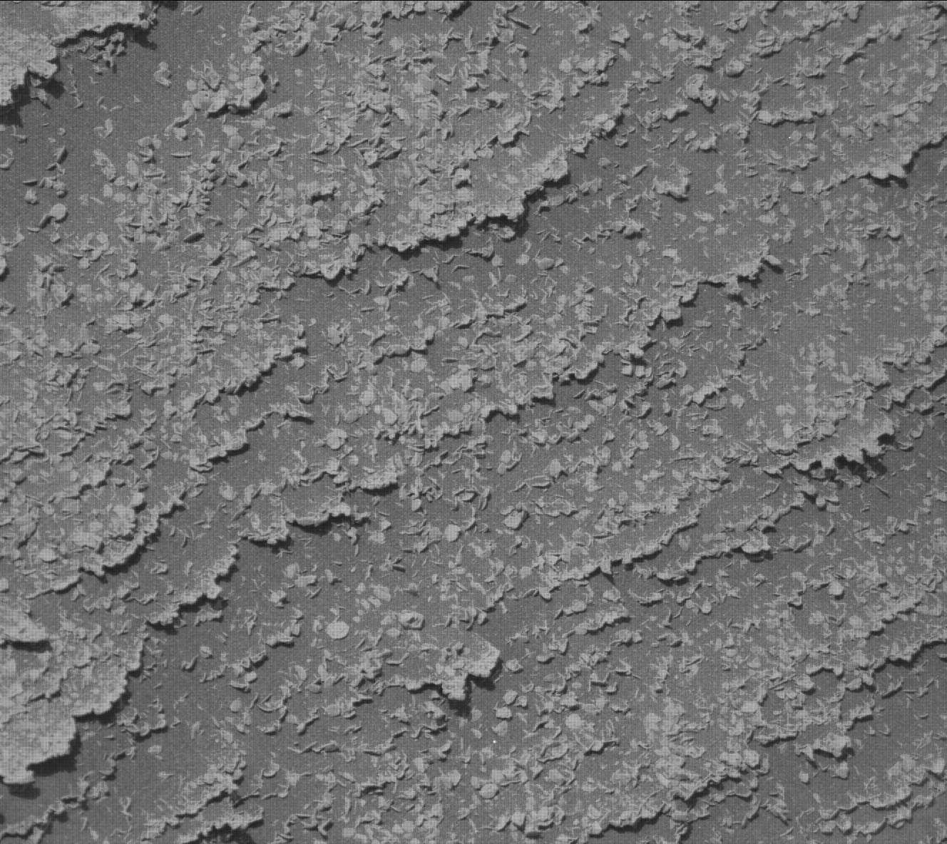 Mars image captured by MAST_RIGHT on Curiosity