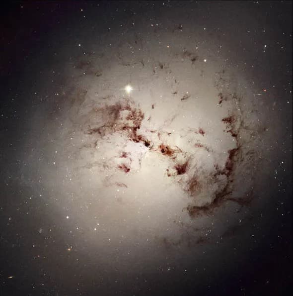 Elliptical Galaxy
