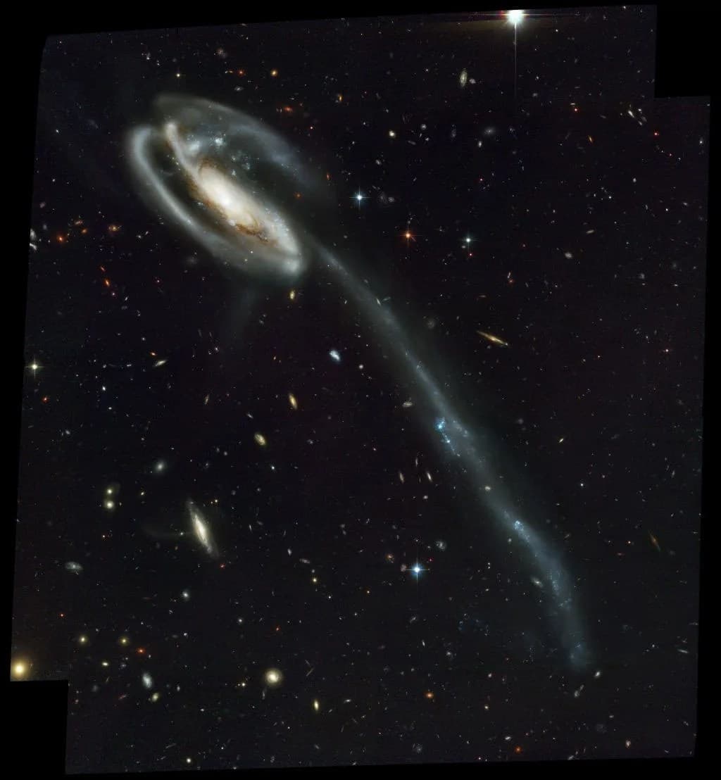 Tadpole’s Tidal Tail