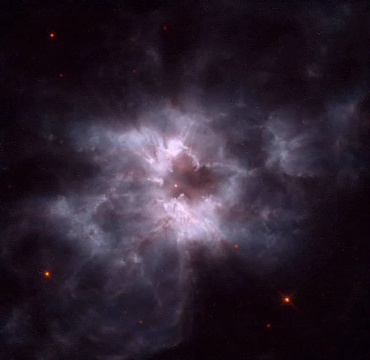 Cocoon of a New White Dwarf