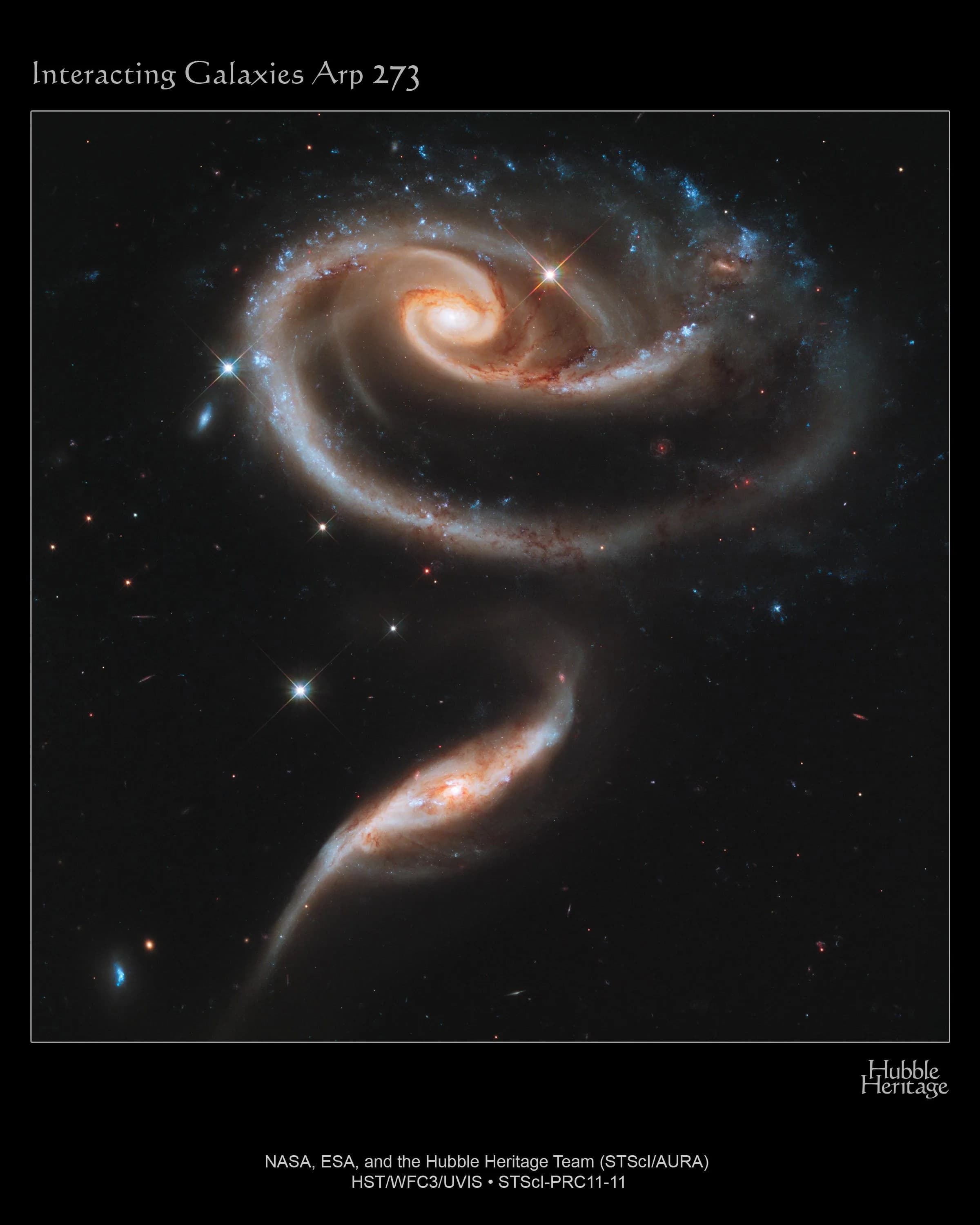 A ‘Rose’ Made of Galaxies
