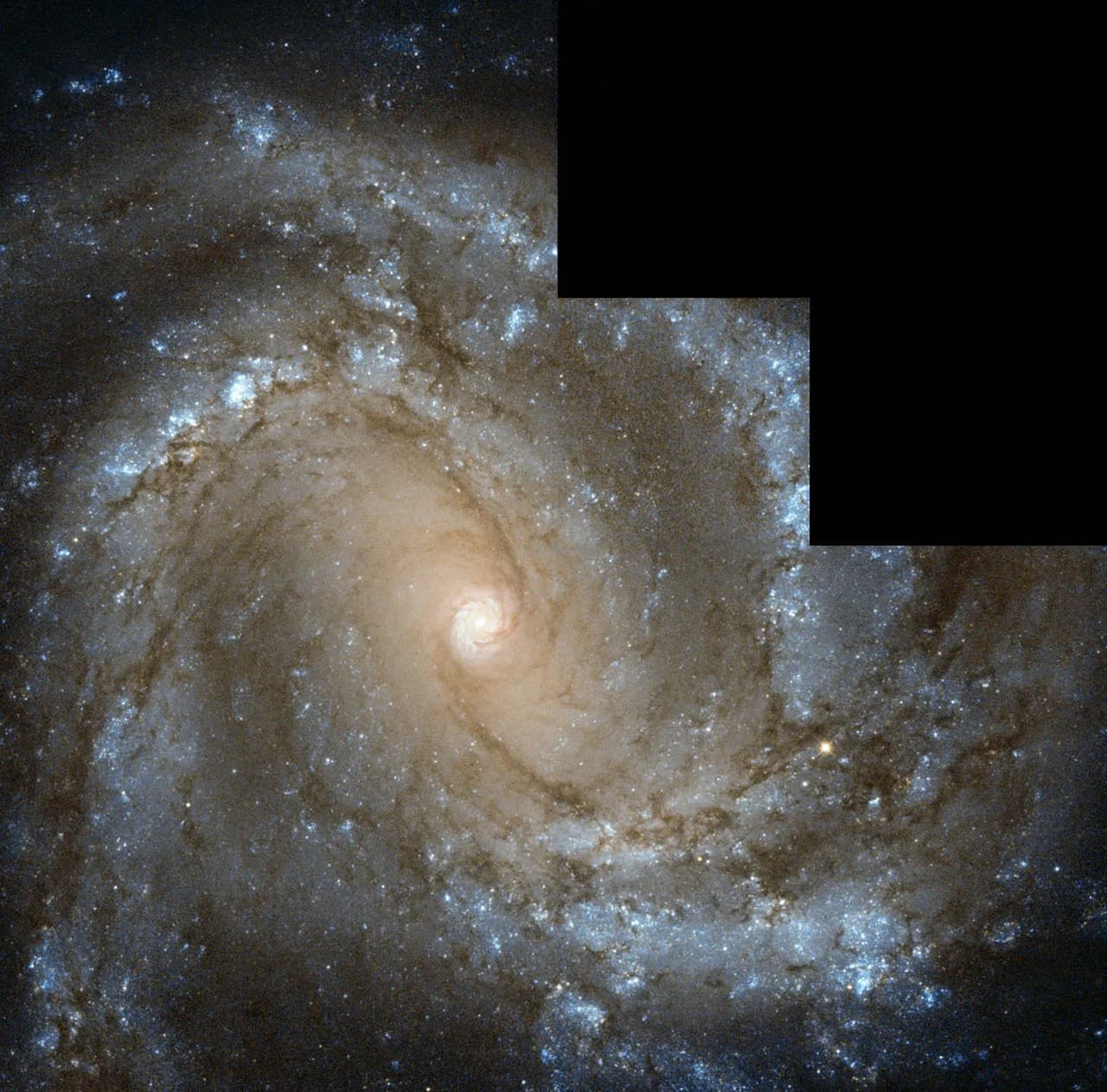 Messier 61 Looks Straight Into Hubble’s Camera
