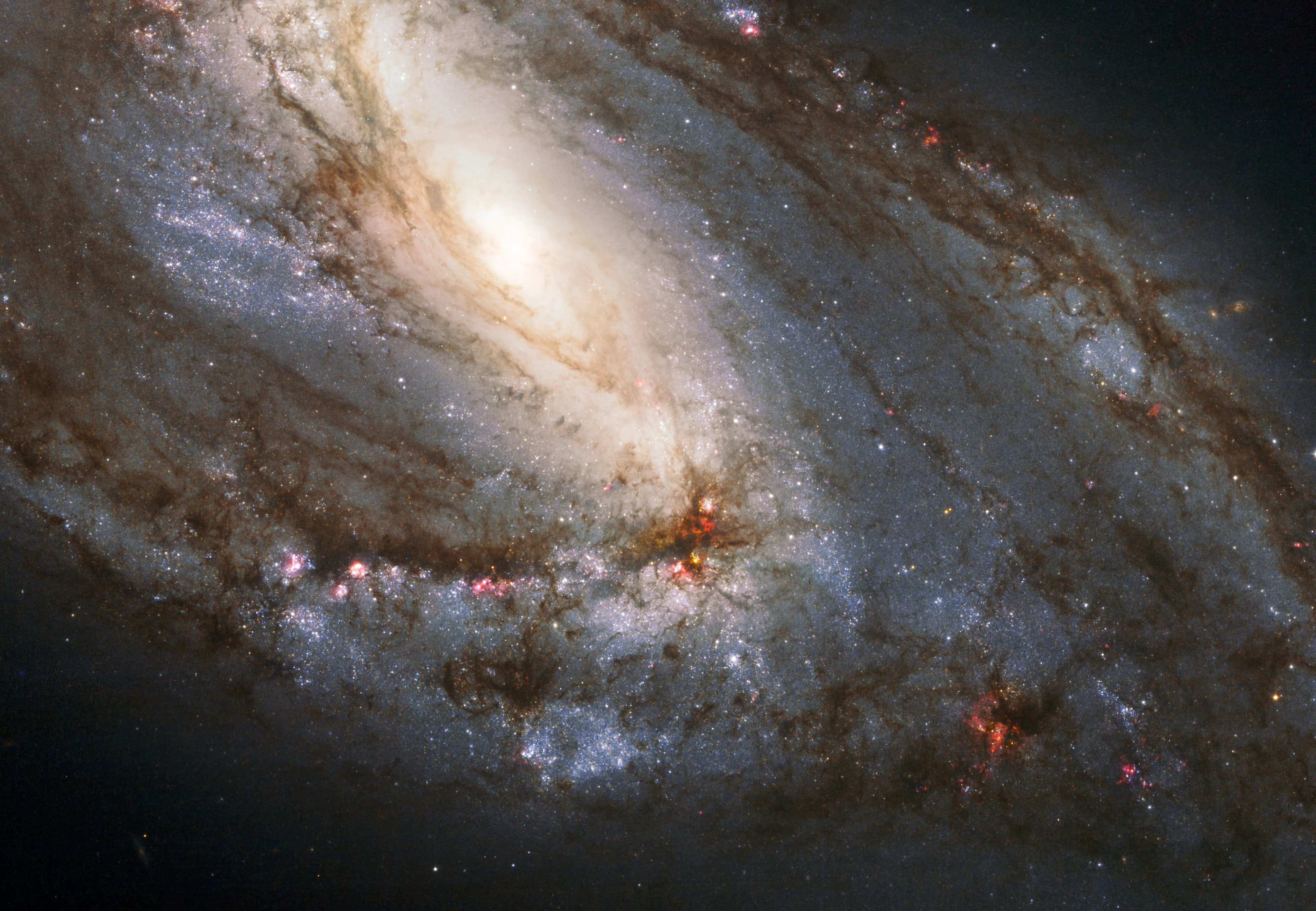 Celestial Wonders in Leo