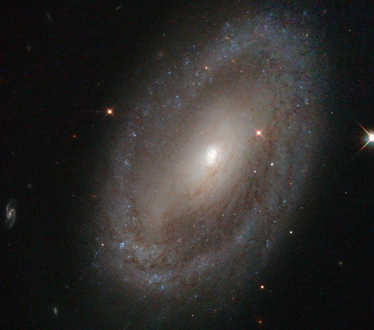 Hubble Image of Our Celebrity Neighbors