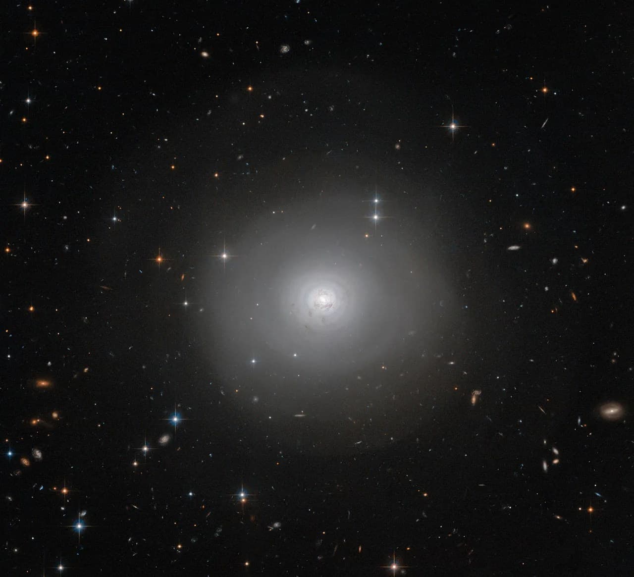 Hubble Views Dark, Dusty Shells