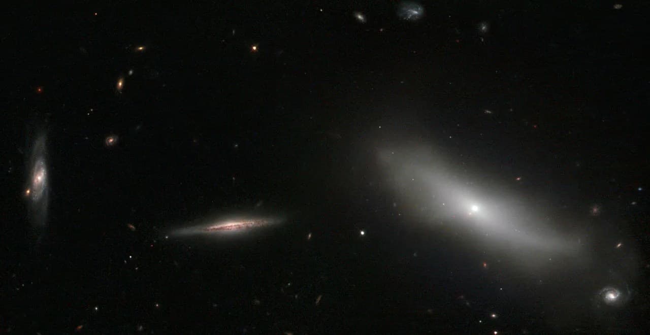 NASA’s Hubble Looks at a Members-only Galaxy Club