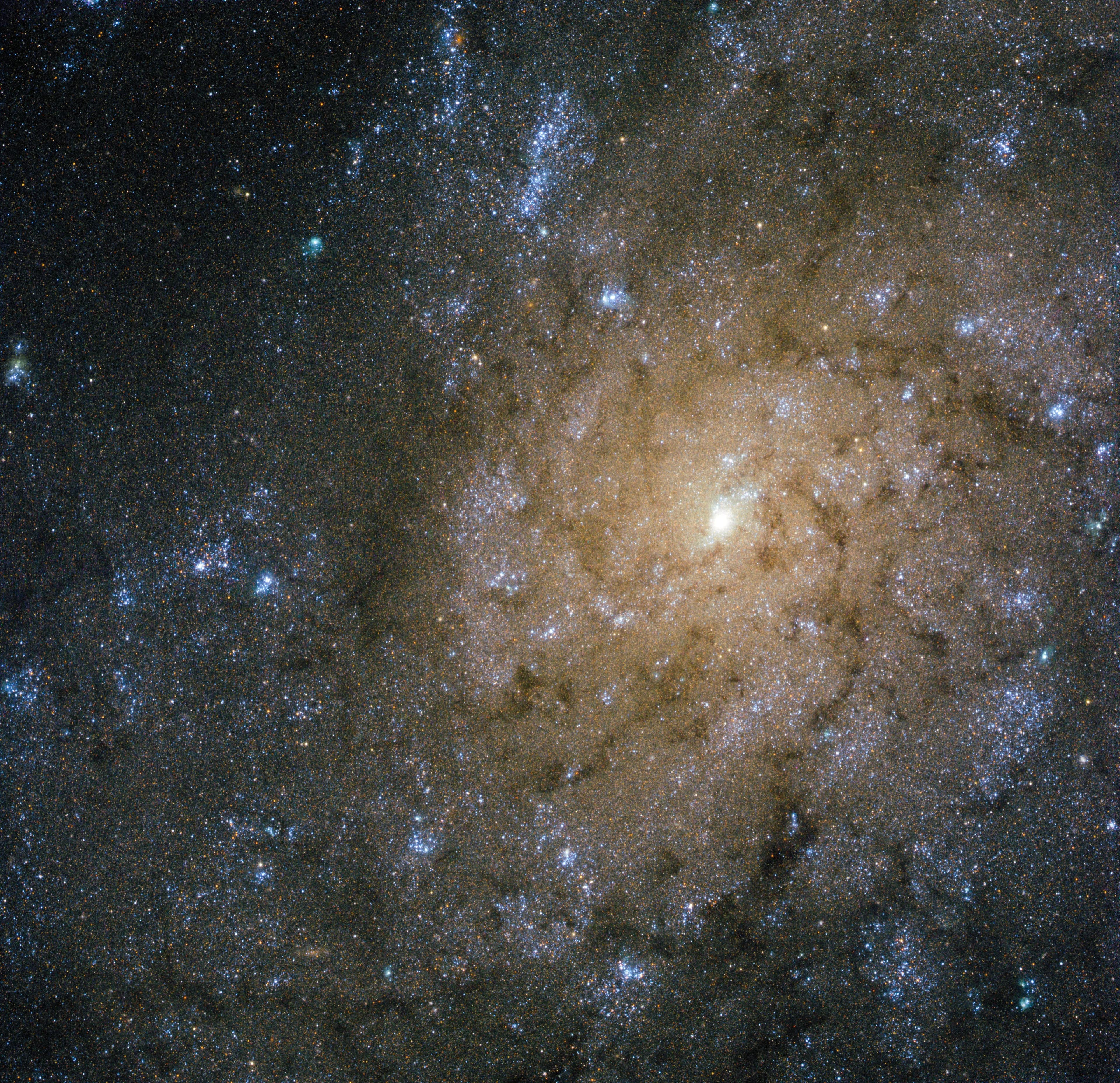 Hubble Finds Jets and Explosions in NGC 7793