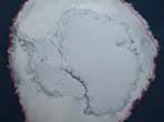 The Yin-Yang of Polar Sea Ice