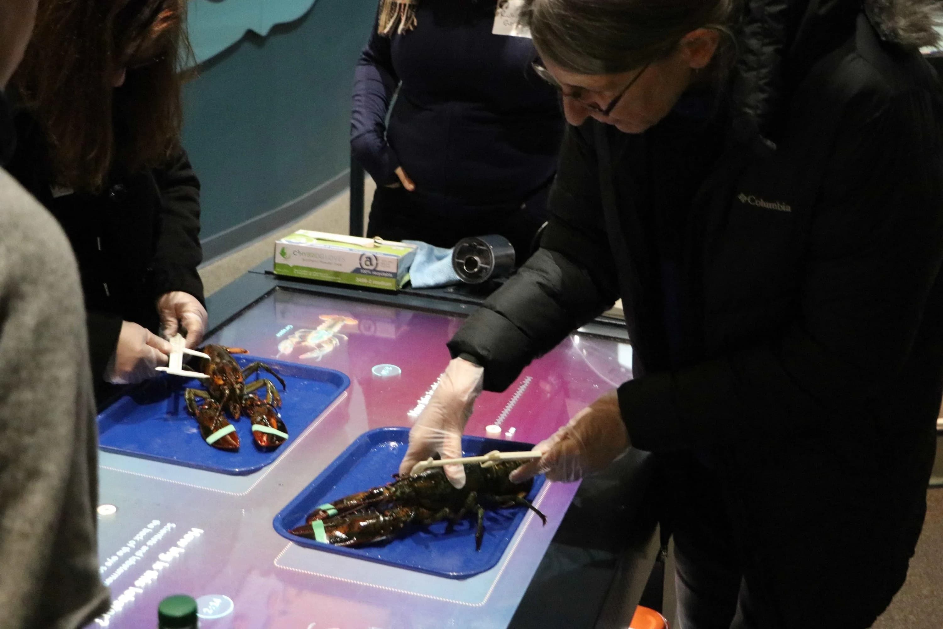 Connecting STEM Learning Between a Field Trip and the Classrooms