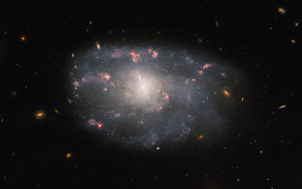 Hubble Spots a Star-Forming Spiral