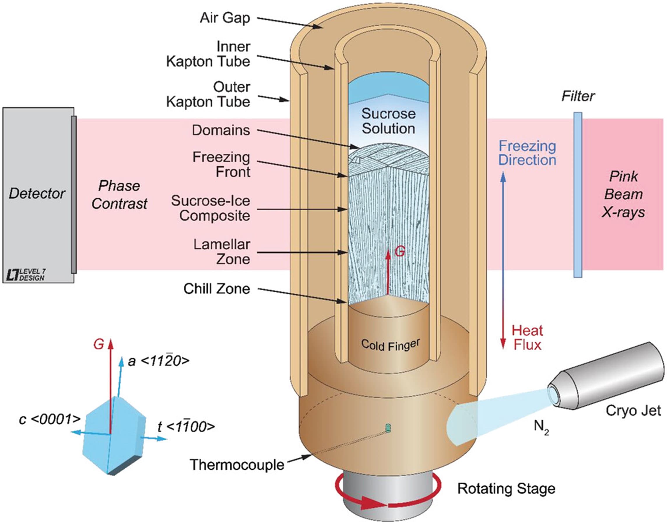Ulrike Wegst Co-authors Article Published in Advanced Functional Materials
