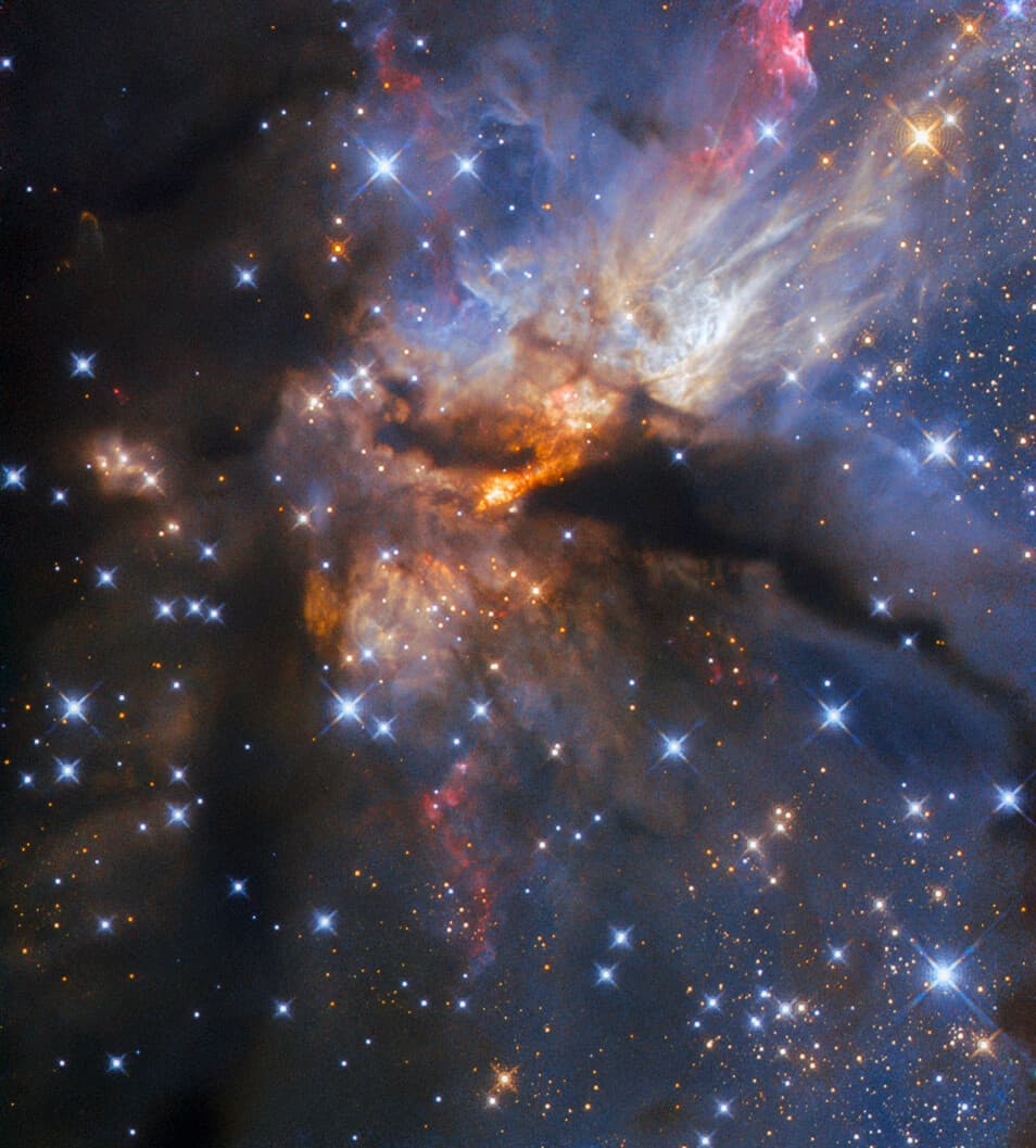 Summer Triangle Corner: Altair