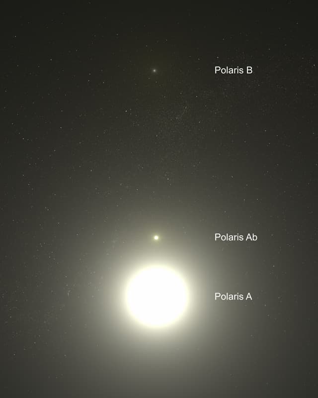February’s Night Sky Notes: Constant Companions: Circumpolar Constellations, Part I