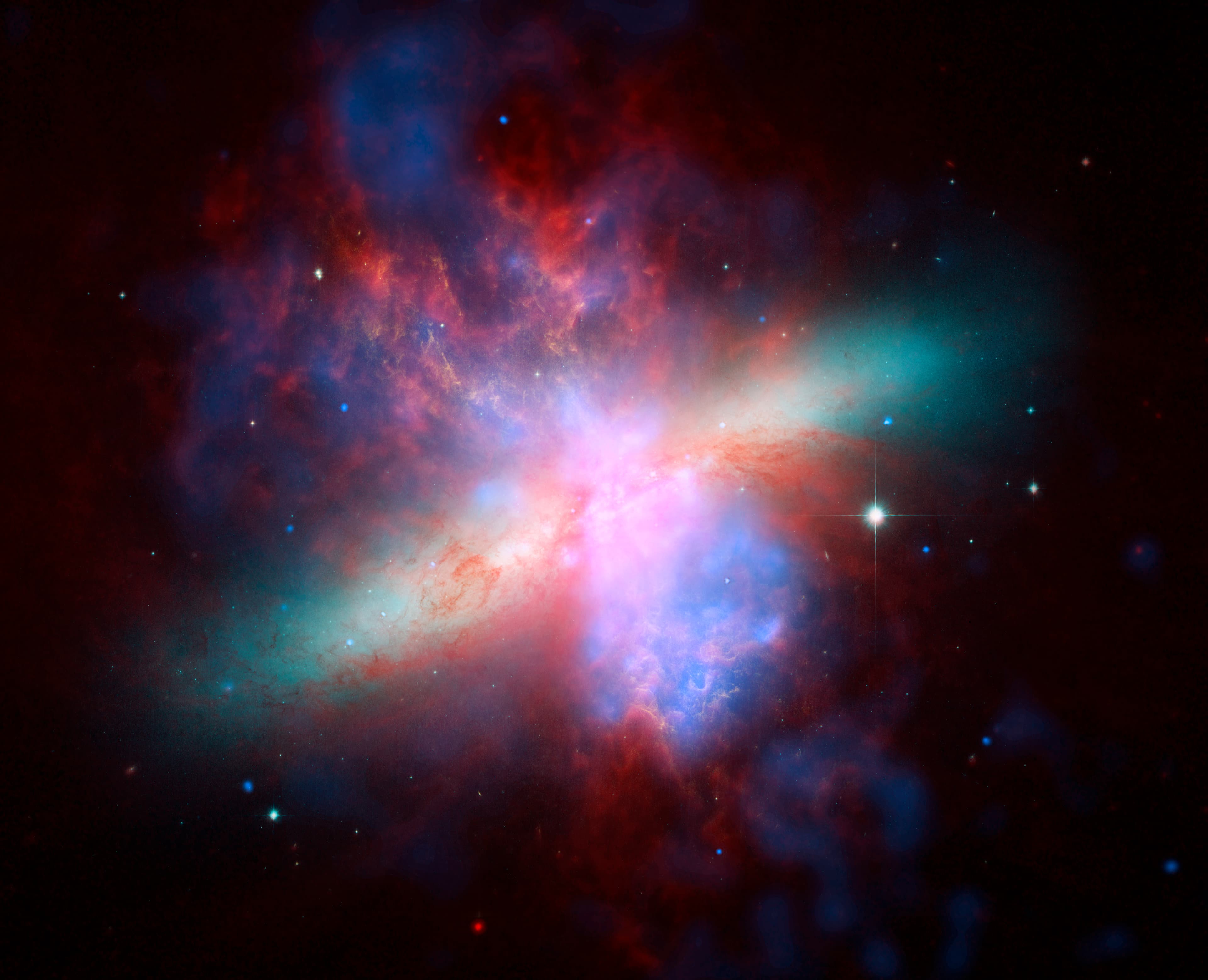June’s Night Sky Notes: Constant Companions: Circumpolar Constellations, Part III