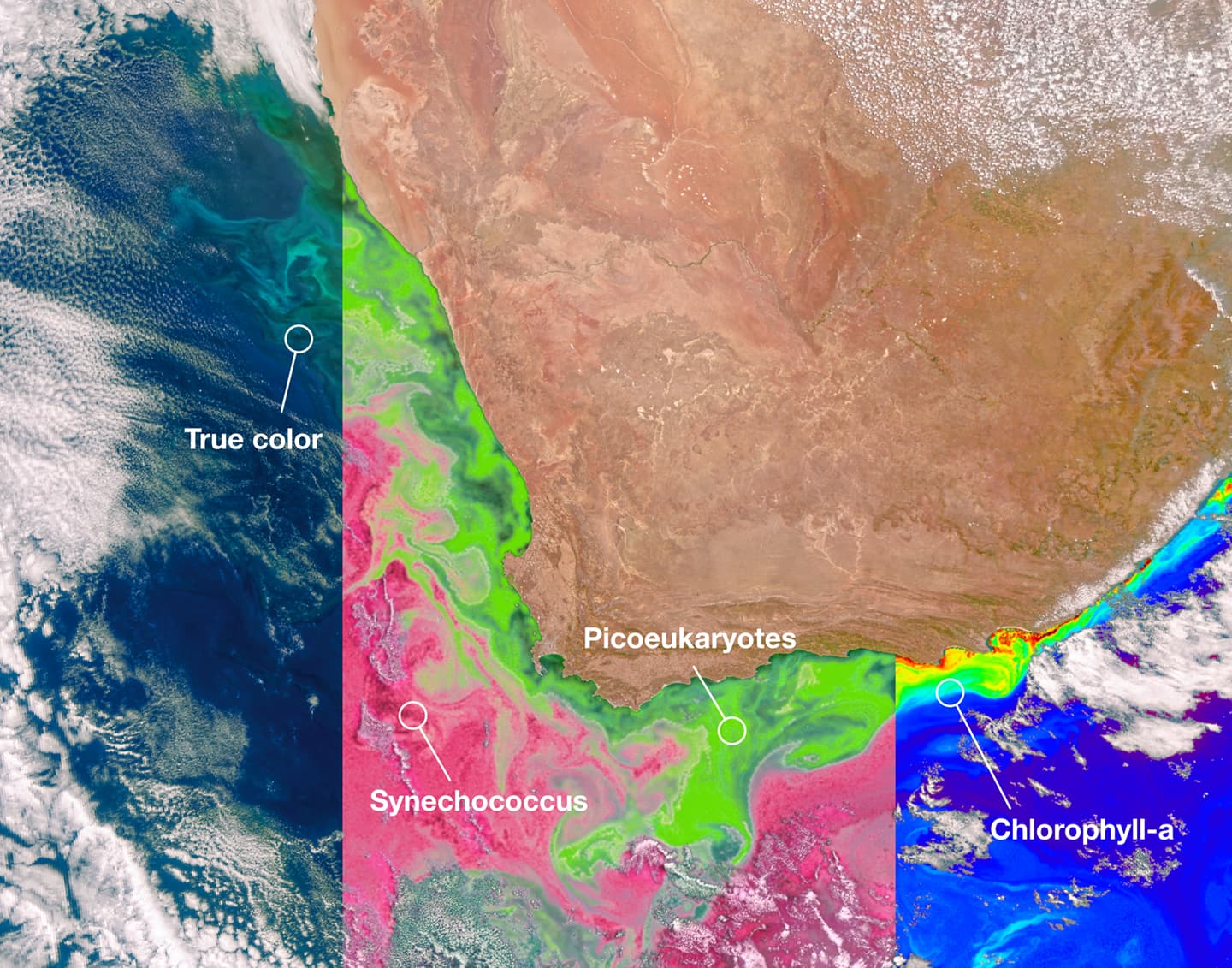 The Earth Observer Editor’s Corner: Jan – Feb 2024