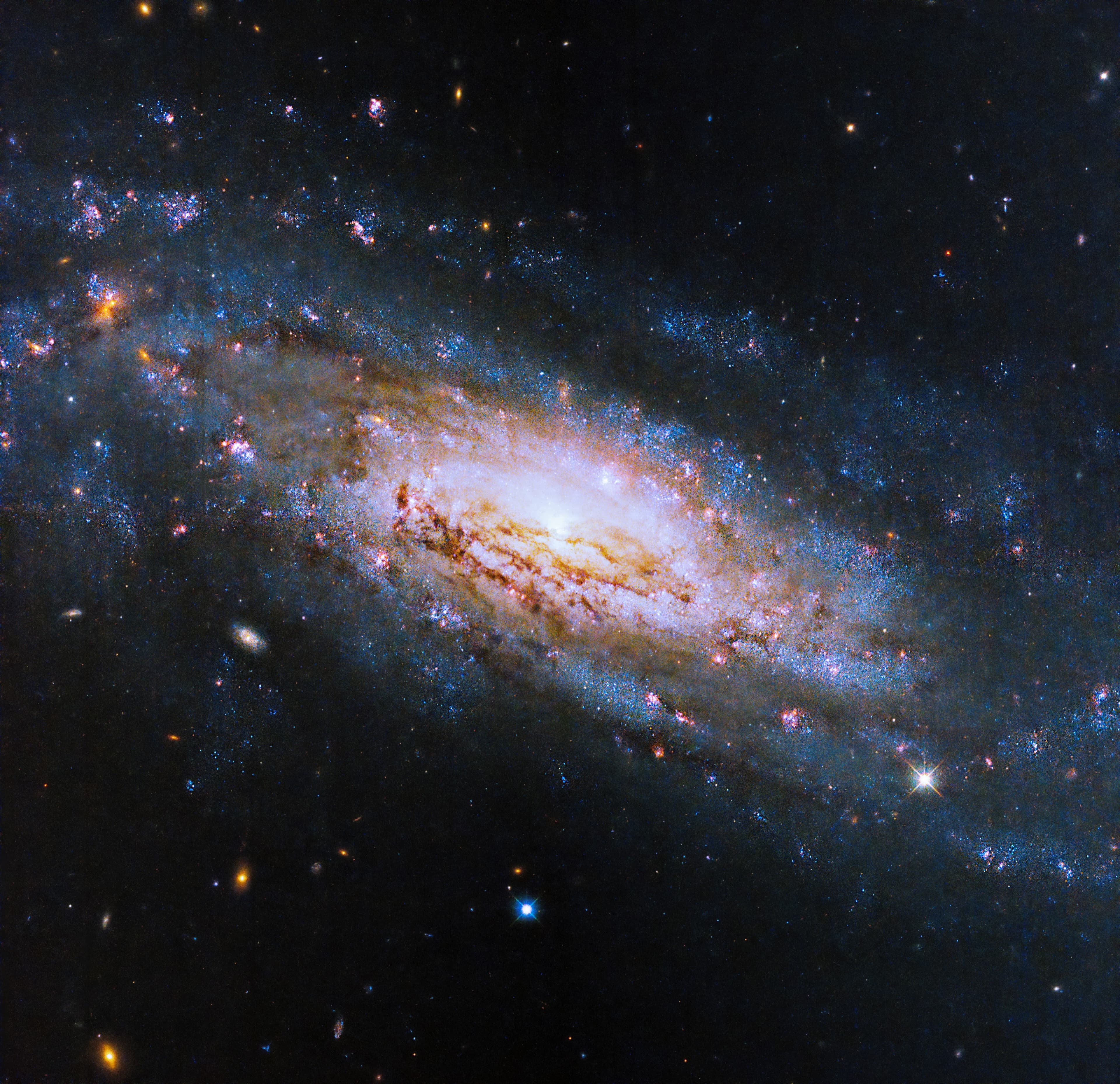 Hubble Views a Galaxy with a Voracious Black Hole