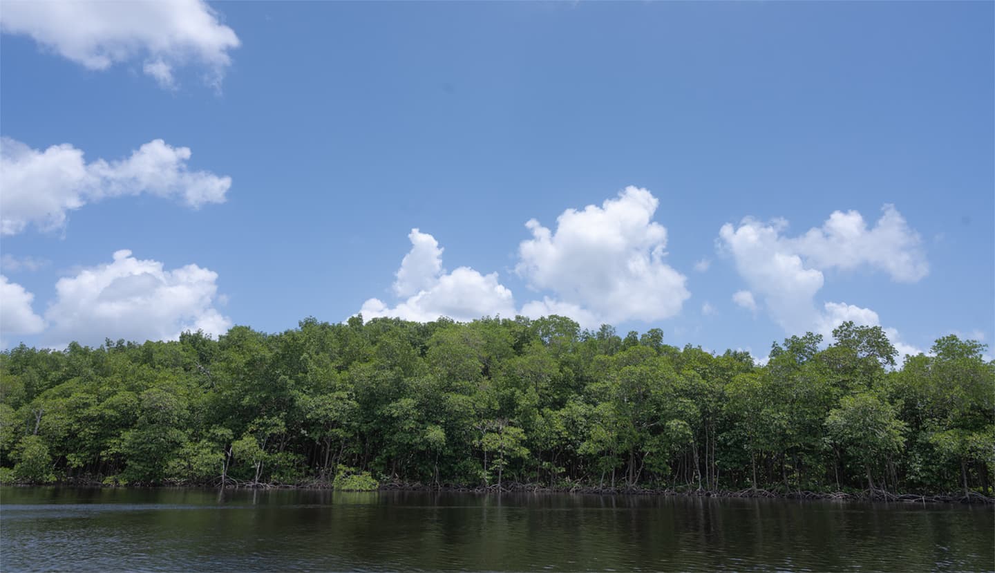 NASA Data Supports Everglades Restoration