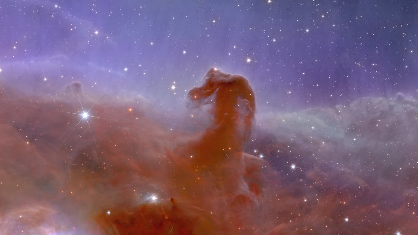 Nebulosa Cabeça de Cavalo