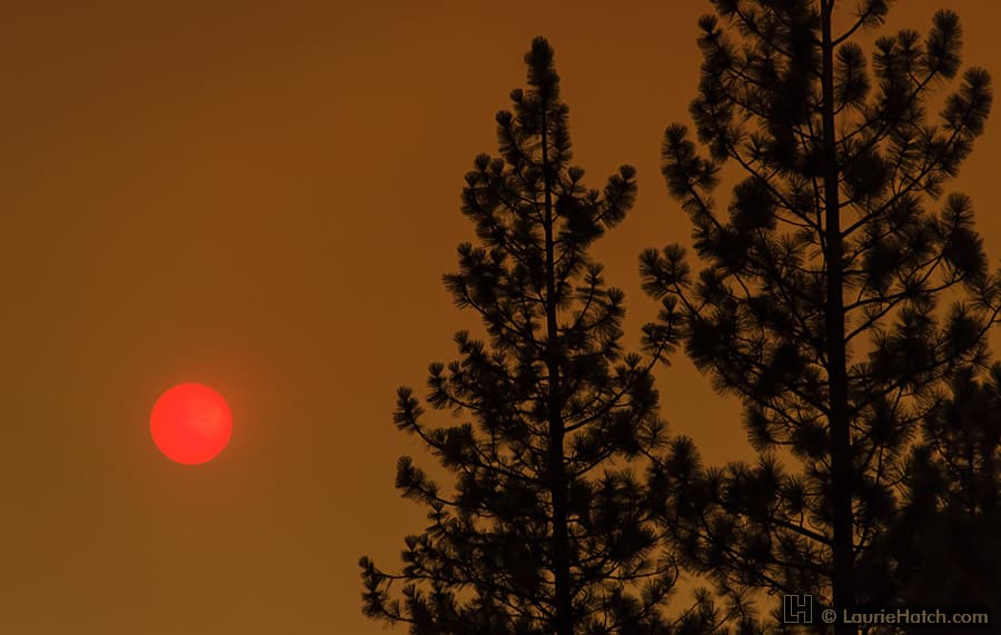 APOD: 2013 August 29 – Strawberry Sun